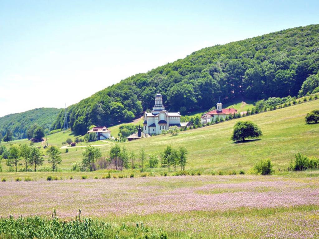 Гостьовий будинок Casa Bradet Інторсура-Бузаулуй Екстер'єр фото