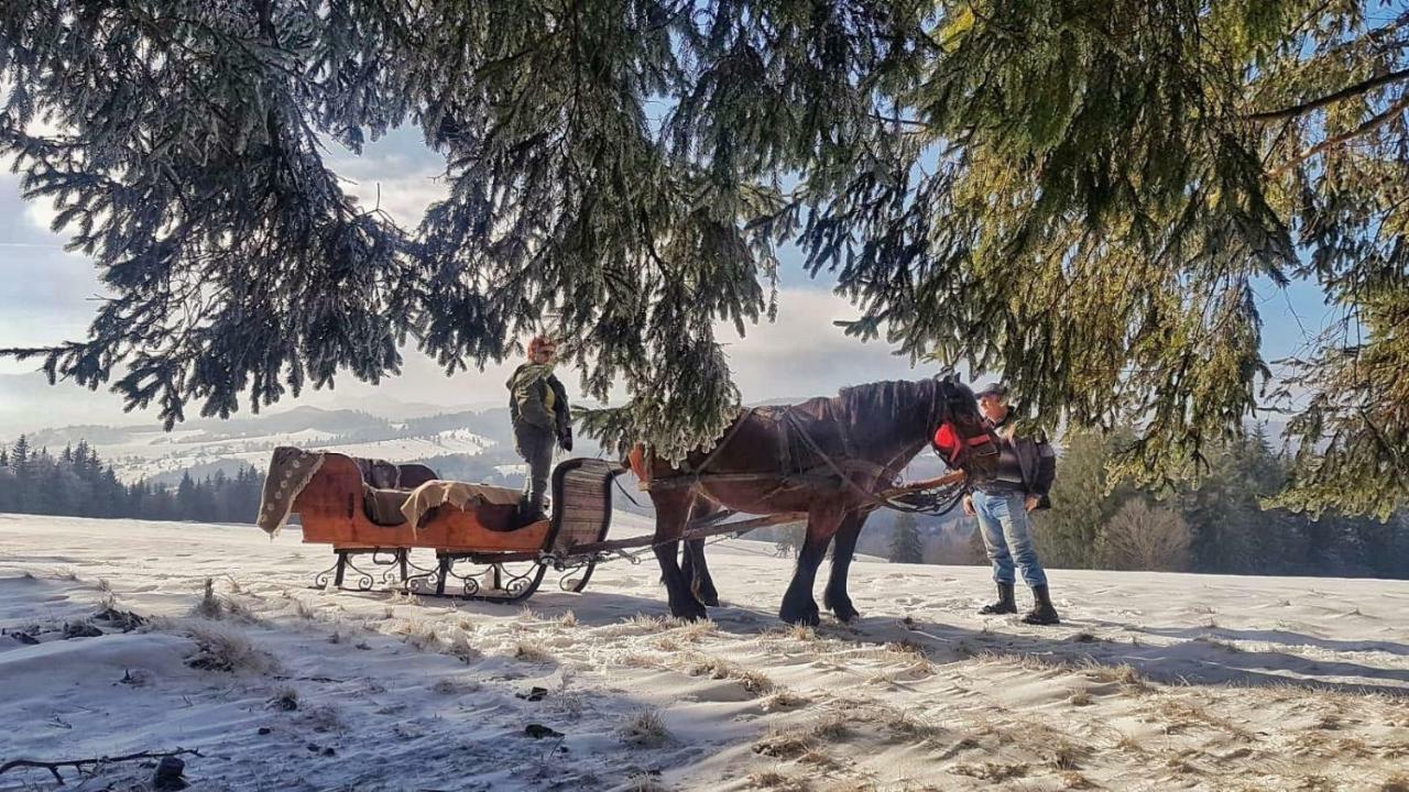 Гостьовий будинок Casa Bradet Інторсура-Бузаулуй Екстер'єр фото