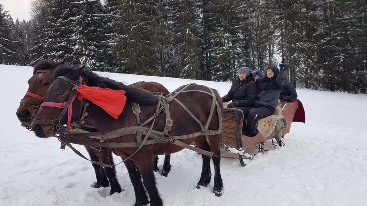 Гостьовий будинок Casa Bradet Інторсура-Бузаулуй Екстер'єр фото